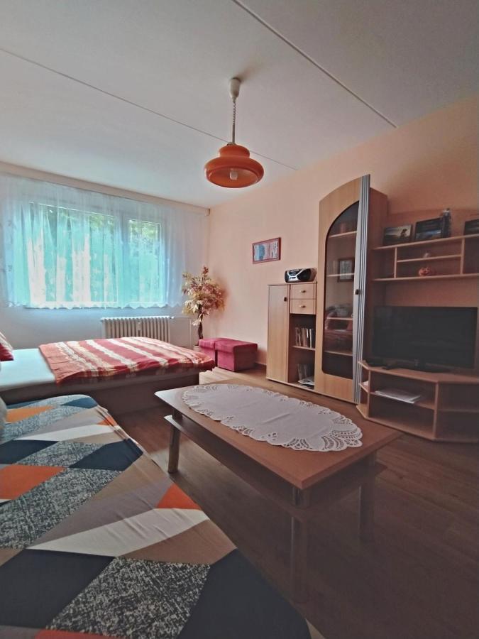 Apartman V Srní المظهر الخارجي الصورة