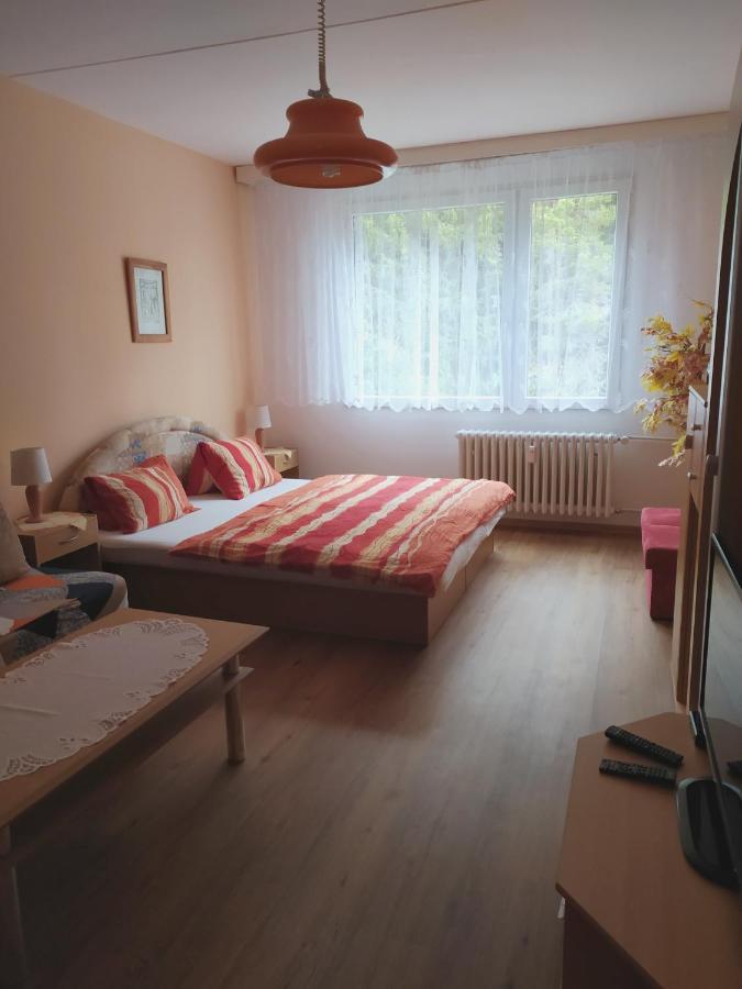 Apartman V Srní المظهر الخارجي الصورة